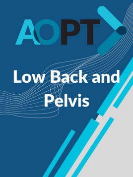 Session 1, Low Back and Pelvis Session 1, Low Back and Pelvis