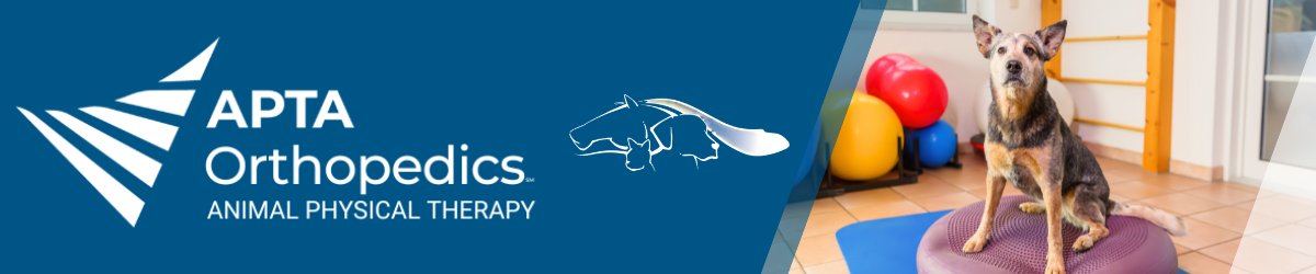 APTSIG Strategic Plan, Mission, and Vision