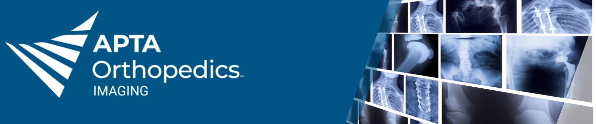 Imaging SIG Newsletters